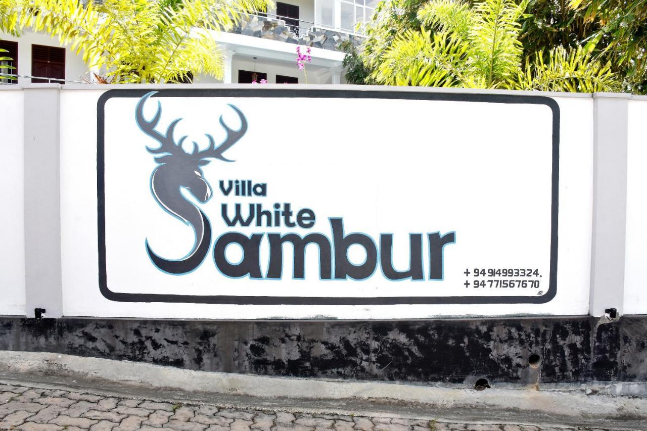 Villa De White Sambur Хиккадува Экстерьер фото