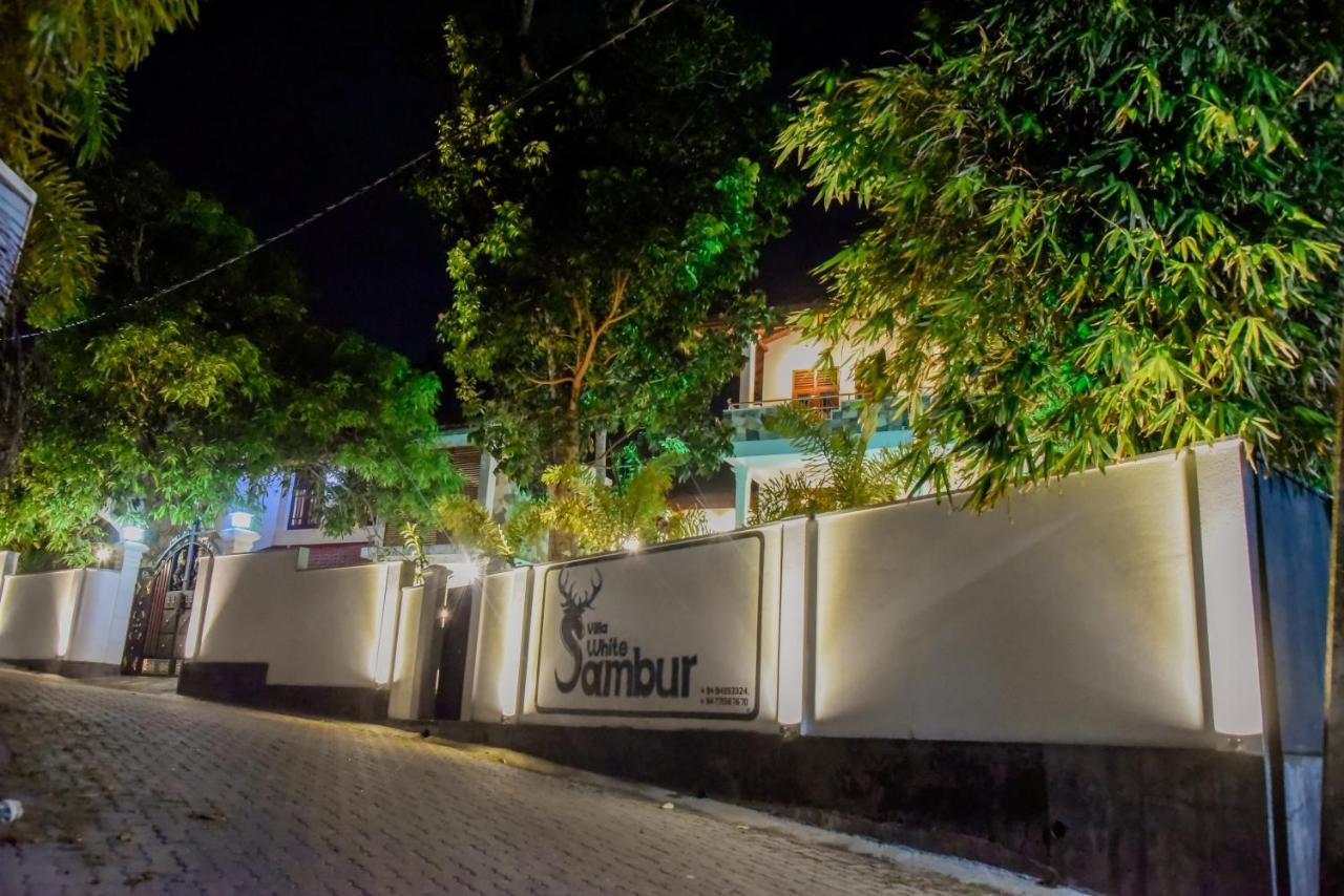 Villa De White Sambur Хиккадува Экстерьер фото